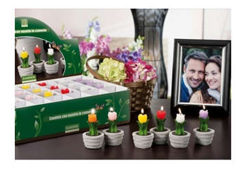 *Visualizza i dettagli per Candela Rosa Exp. 24 pz D5 Immagine di Candela Rosa Exp. 24 pz D5